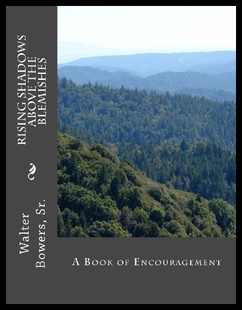 Shadows Rising 预售 the Blemishes Above