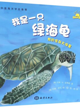 我是一只绿海龟/我的家在大海里