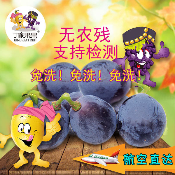 GAP有机认证 无农残 丁稼果果 有机 云南夏黑葡萄 巨峰葡萄 黑加仑 2斤 优惠券折后¥29包邮(¥129-100) GAP有机认证 无农残 丁稼果果 有机 云南夏黑葡萄 巨峰葡萄 黑加仑 2斤 优惠券折后¥29包邮(¥129-100)