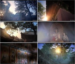 山西平遥镇国寺佛像寺庙庙宇阳光普照大树高清实拍视频素材