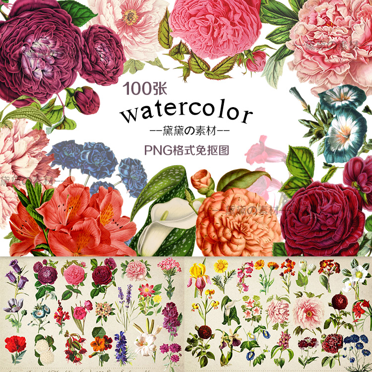 100个手绘水彩复古牡丹海棠百合花卉植物PNG免扣图片设计美化素材