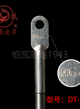 正品凤凰 镀锡堵油式铜接头 DT-10MM2铜鼻子 接线端子 B级 一只价