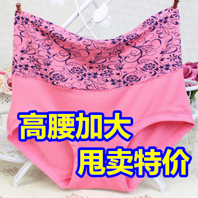 Slip Moyen-âge Taille pleine fleur - Ref 641112 Image 1