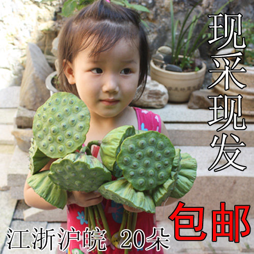 新上市农家自种新鲜皖新鲜水果