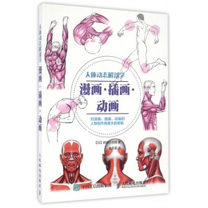 人体动态解剖学(漫画插画动画) 人体各部分解剖基础知识书籍 人体动态绘制技法大全 动漫人体结构绘画书 漫画人体结构 绘画书籍