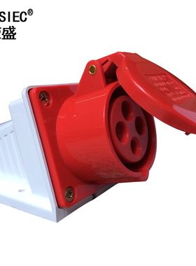 荣盛CEIRSIEC防水工业插座4芯RS114 16A明装插座 124 32A航空插座