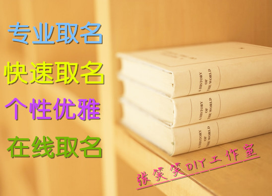 快速公司取名中英文/宝宝起名/工作室起名/网名店铺名/企业名logo