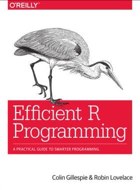 【预订】Efficient R Programming: A Practical...