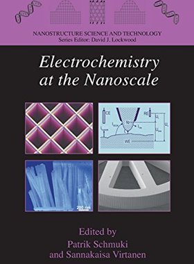 【预订】Electrochemistry at the Nanoscale