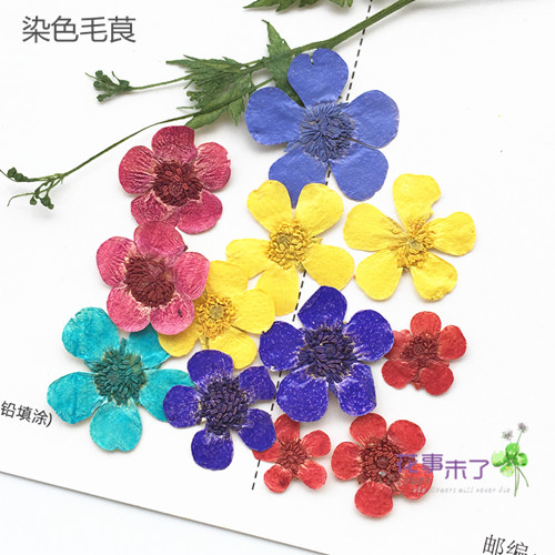 毛茛滴胶干花手机diy植物标本