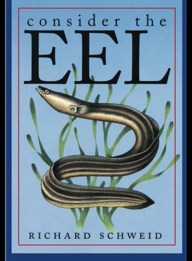 【预售】Consider the Eel