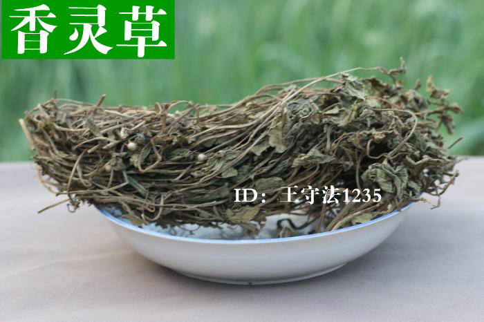 调料香料大全 灵草 香草 灵香草 香灵草 零陵草 熏草钓鱼配方