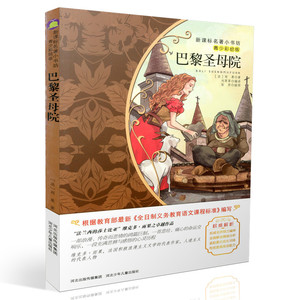 包邮新课标名著小书坊青少彩绘版 巴黎圣母院 重点解析中小学生读物 青少年读物 课外读物畅销书籍 课外书