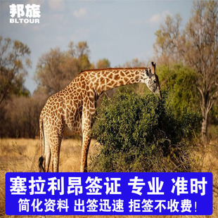 塞拉利昂签证 塞拉里昂商务签证 塞拉利昂旅游签证  塞拉利昂商务签证  塞拉利昂电子签证 （拒签不收费）