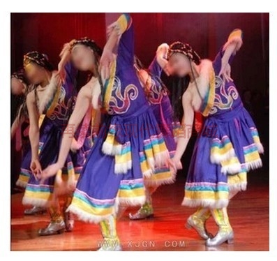 西藏女装少数民族服装秧歌服藏族水袖舞台装演出服装藏族舞蹈服饰