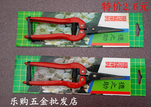 果园工具采摘果树稀果剪 嫩芽剪 葡萄剪 修剪花木蔬果剪 园艺剪刀