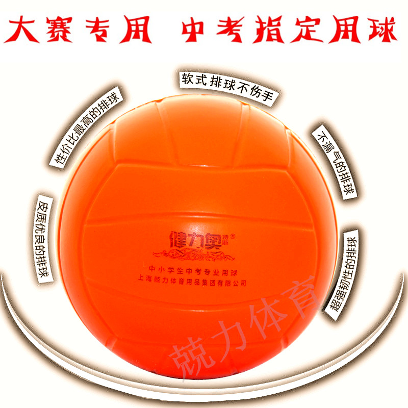 Ballon de volley-ball - Ref 2008521 Image 1
