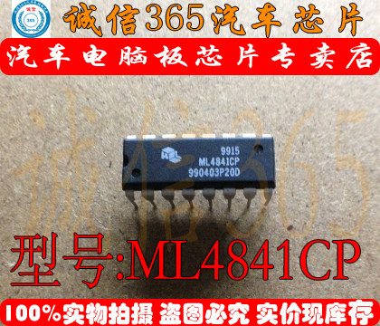 ML4841CP DIP