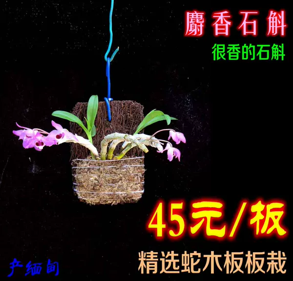 Товары от 广州花无缺有限公司