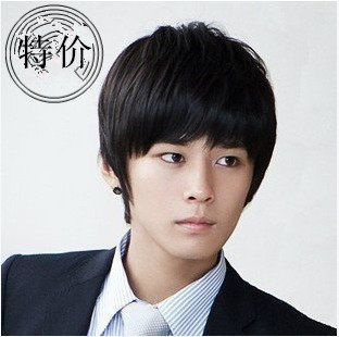 Perruque cheveux raides Court - Ref 2612329 Image 1