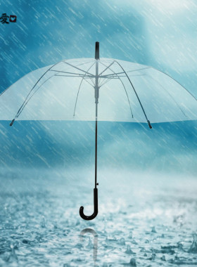 【天天特价】日本出口加大加厚透明晴雨伞白色公主伞小清新情侣伞