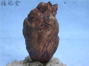 拐杖龙头柄黄樟楠木树瘤根雕樱木影木瘤疤手把件茶宠茶具配件136