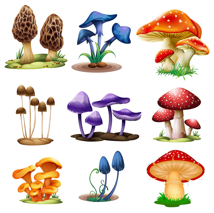 精美卡通蘑菇 多款彩色可爱卡通蘑菇元素 ai格式矢量设计素材