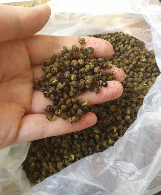 青花椒新鲜100g火锅干花椒图片
