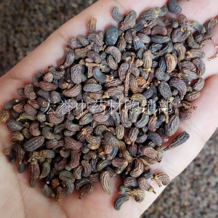 女贞子 中药材 女贞实 冬青子 白蜡树子 鼠梓子 女真子 正品无杂