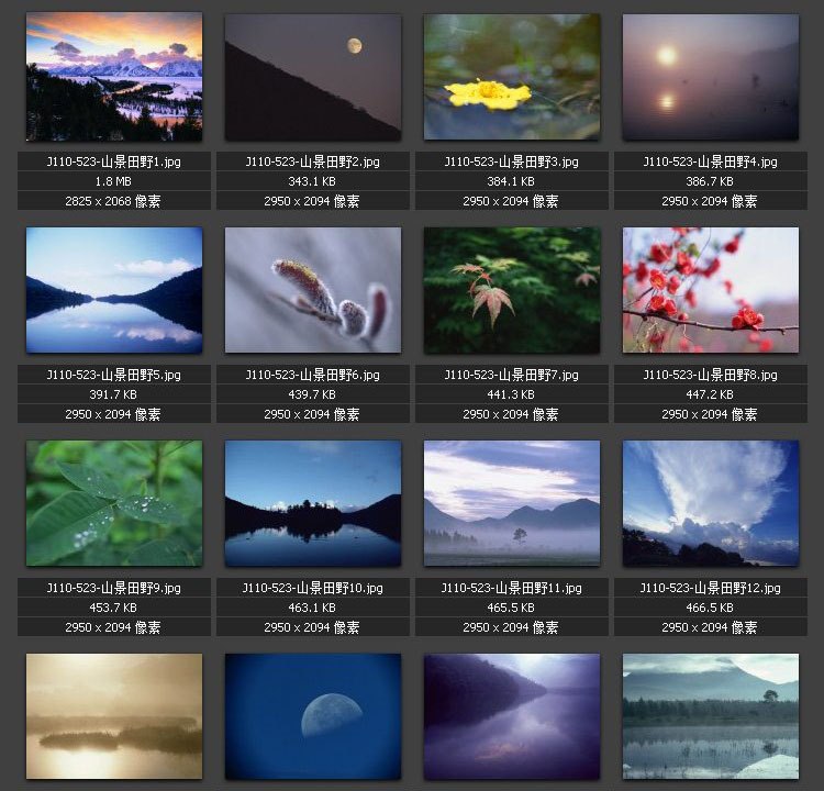 山川湖泊 植物绿叶 河流沼泽 绿地植被 山景田野素材图片图库