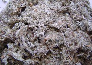 中药材茵陈别名(白蒿、绒蒿、猴子毛)500克9元