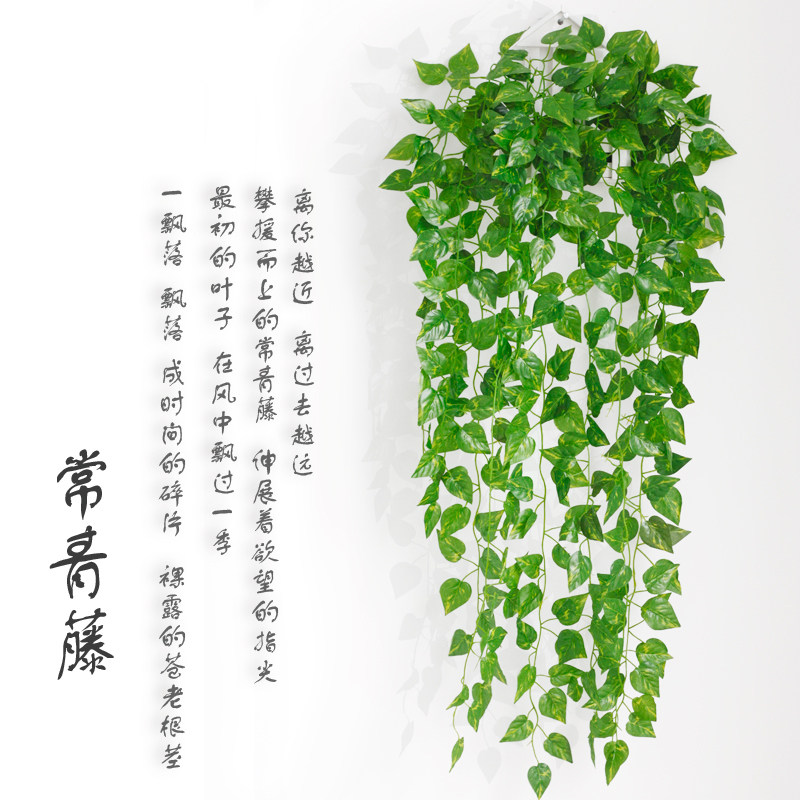仿真绿萝假花藤爬山虎绿叶藤蔓吊兰挂壁花艺藤条装饰花仿真花假花