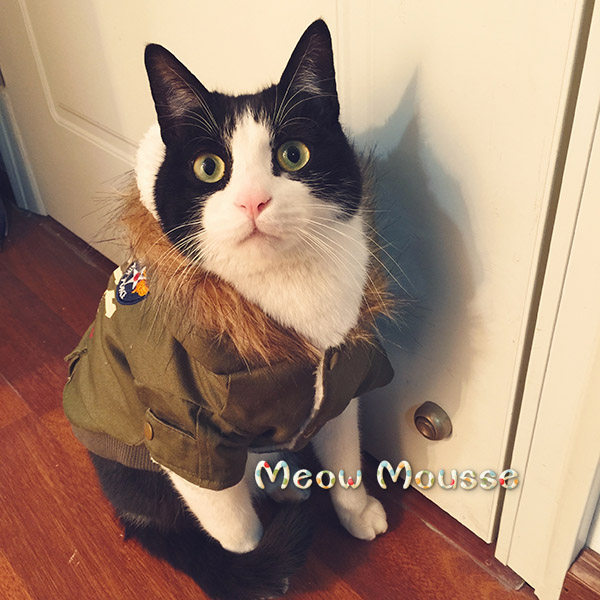 【喵慕斯】秋冬宠物衣服韩版军工棉衣连帽毛领猫狗保暖法斗柯基
