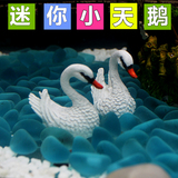 �~���쾰�b� �������Zһ��