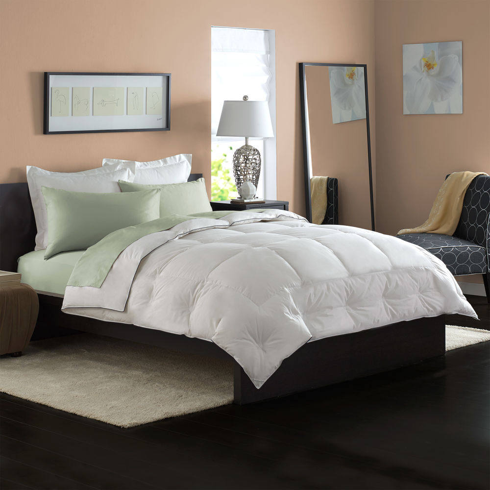 pacific coast-派赛菲特 550蓬松度羽绒填充 防敏 全年型 羽绒被