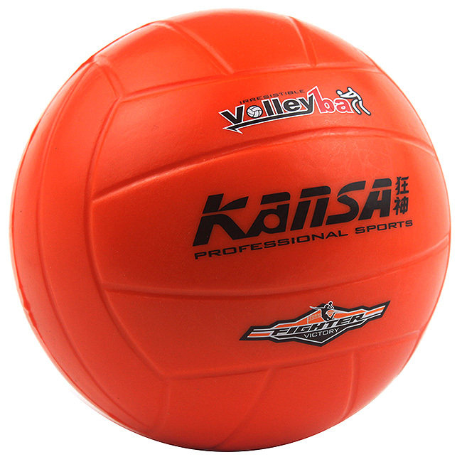 Ballon de volley-ball - Ref 2011269 Image 1