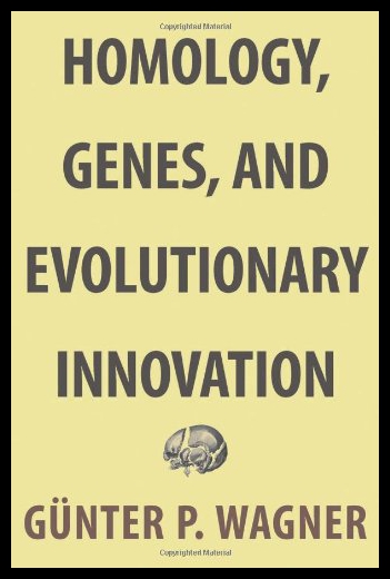 美国库房发货，通常付款后5-8周到货！