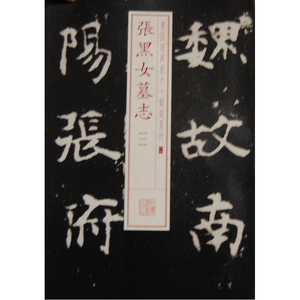 书法经典放大 铭刻系列---张黑女墓志（一）