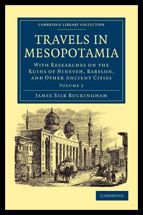 美国库房发货，通常付款后5-8周到货！