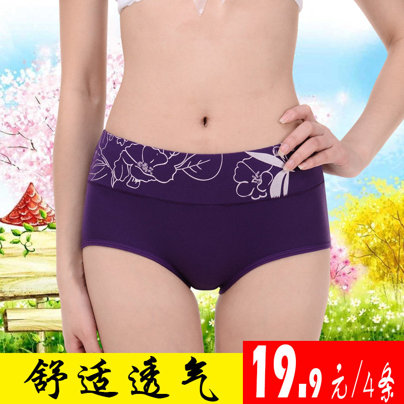 Slip jeunesse en coton - Ref 639431 Image 1