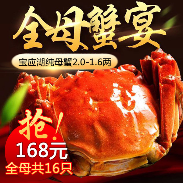 杨鲜记 鲜活大闸蟹 全母 16只装 （1.6～2两）优惠券折后￥168顺丰包邮