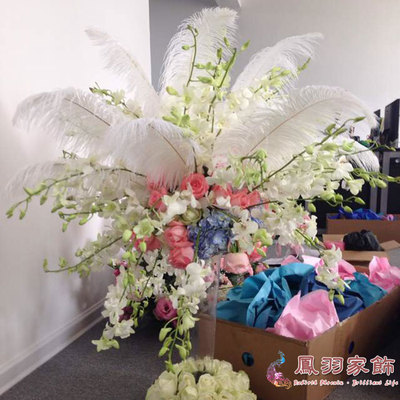 鸵鸟羽毛天然演出道具软装配件