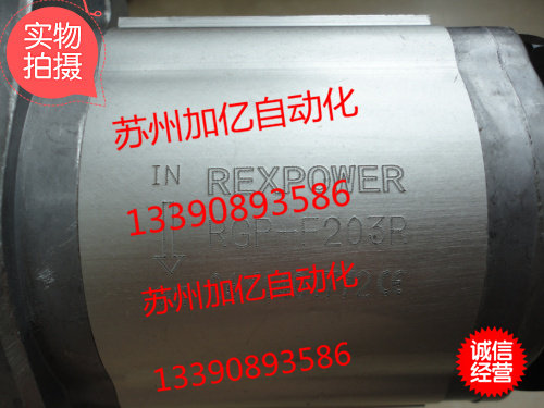 台湾锐力REXPOWER齿轮泵RGP-F203R  全新原装正品