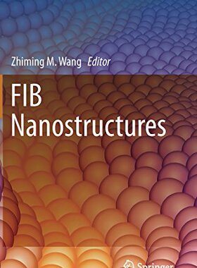 【预订】FIB Nanostructures