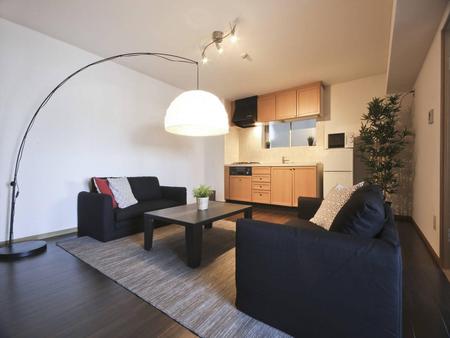 M Luxury Big apartment near Shinjuku 702