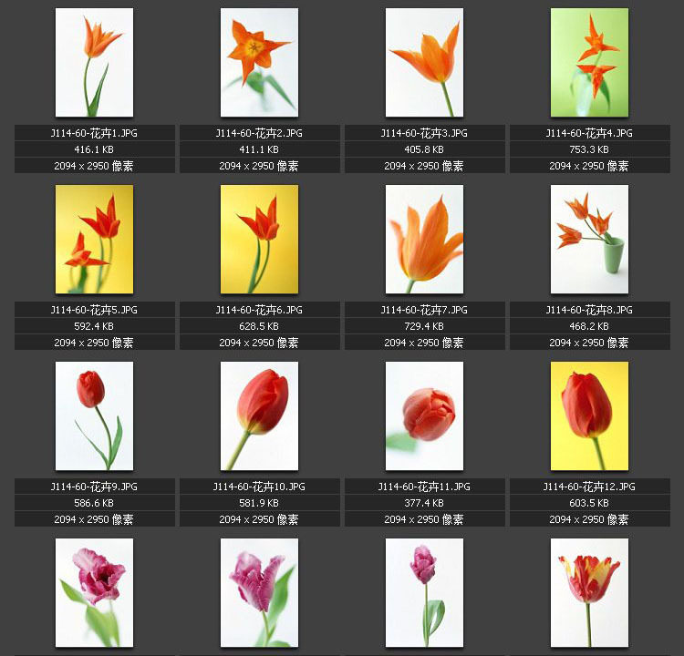 花卉图片 鲜花 花朵 花枝 花束 花瓶 素材图片图库