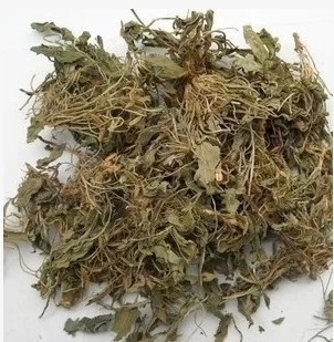 紫花地丁草 、铧头草、光瓣堇菜、犁头草500克 无硫地丁草