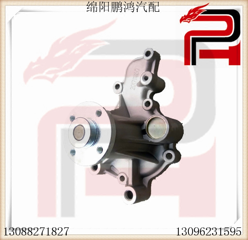 金杯新海狮DLCG12 CG14小海狮X30海星T22T32T52T50T30T20循环水泵