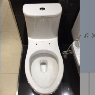 美标节水连体座便器