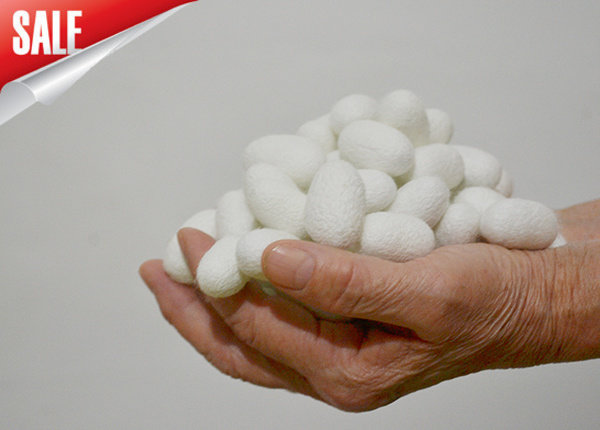 桑蚕茧农家天然干蚕茧中药材无硫带蛹单双宫蚕茧手工蚕丝被原料,宠物/宠物食品及用品,蚕宝宝,淘宝优惠券,粉丝福利购,淘宝优惠卷